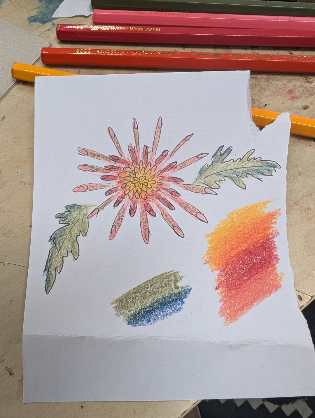 Colourful flower sketches on a piece of paper 