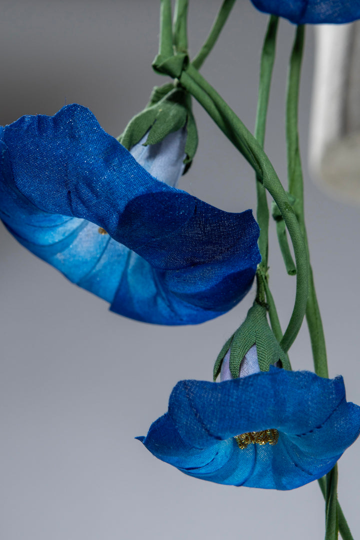 "Morning Glory" Pillbox